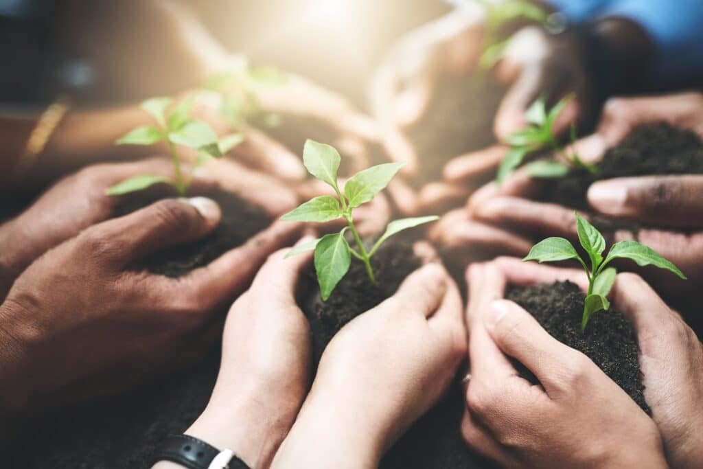 A group of diverse hands gently holding small green seedlings in rich soil, symbolizing teamwork, growth, and environmental care, with sunlight shining in the background.